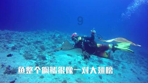 现代女孩的衣柜